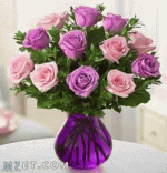 IMG_4537.gif