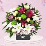 IMG_4536.gif