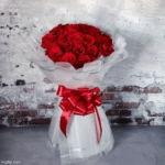 IMG_4535.gif