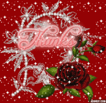 IMG_4720.gif