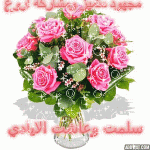 IMG_4726.gif