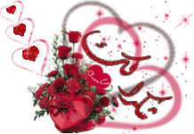 IMG_4722.gif