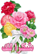 IMG_4718.gif