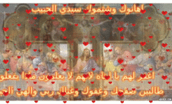 IMG_5397.gif