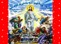 IMG_5416.gif