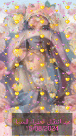 IMG_5604.gif