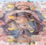 IMG_5428.gif