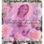 IMG_6002.gif