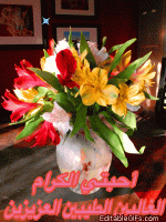 IMG_6008.gif