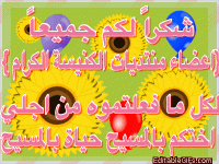 IMG_6009.gif