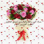 IMG_6017.gif