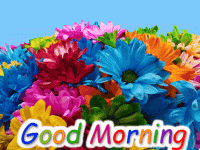 IMG_6019.gif