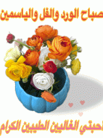 IMG_6020.gif