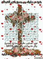 IMG_6029.gif
