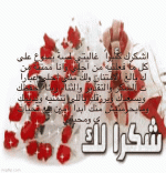 IMG_6428.gif