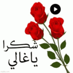 IMG_6560.gif