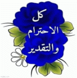 IMG_7205.gif