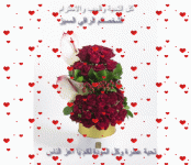IMG_7212.gif