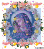 IMG_7768.gif