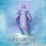 IMG_7769.gif