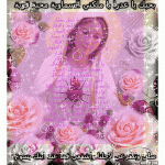 IMG_7767.gif