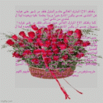 IMG_7864.gif
