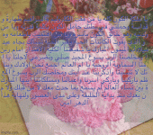 IMG_7932.gif