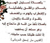 FB_IMG_1740908258653.jpg