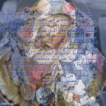 IMG_7982.gif