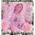 IMG_7979.gif