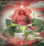 IMG_7991.gif