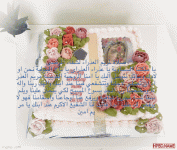 IMG_8008.gif