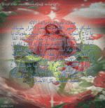 IMG_8006.gif