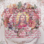 IMG_8039.gif