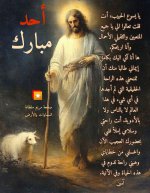 FB_IMG_1746335868865.jpg