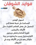 FB_IMG_1746364368848.jpg