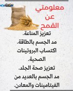 FB_IMG_1746364355980.jpg