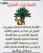 FB_IMG_1746364326536.jpg
