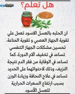 FB_IMG_1746364319198.jpg