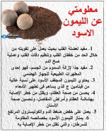FB_IMG_1746364309165.jpg