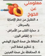 FB_IMG_1746364298715.jpg