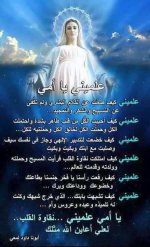 FB_IMG_1748068227176.jpg