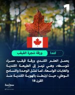 FB_IMG_1748027385518.jpg