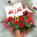 IMG_8880.gif