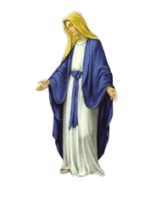 IMG_8564.png