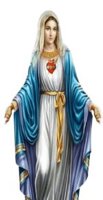 IMG_8509.png