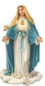 IMG_8455.png
