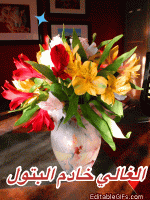 IMG_8892.gif