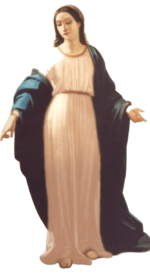 IMG_8424.png