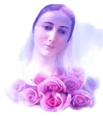 IMG_8558.png